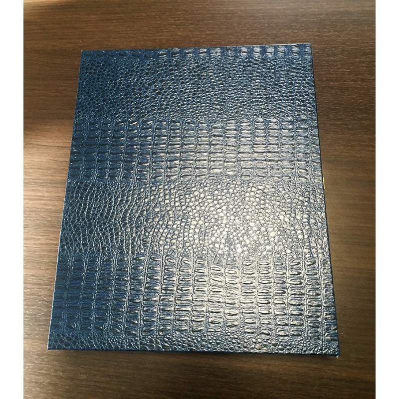 Targa trofeo con astuccio 23x19