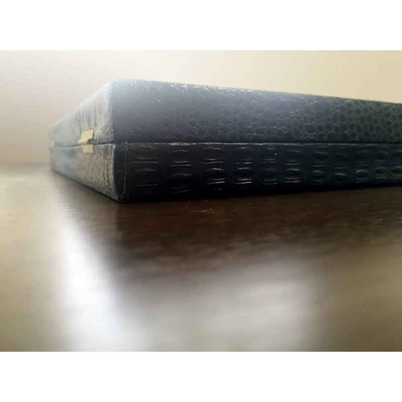 Targa trofeo con astuccio 23x19