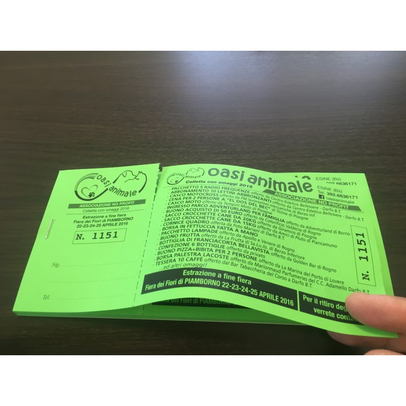 Biglietti lotteria 14x7,4 cm