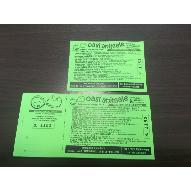 Biglietti lotteria 14x7,4 cm