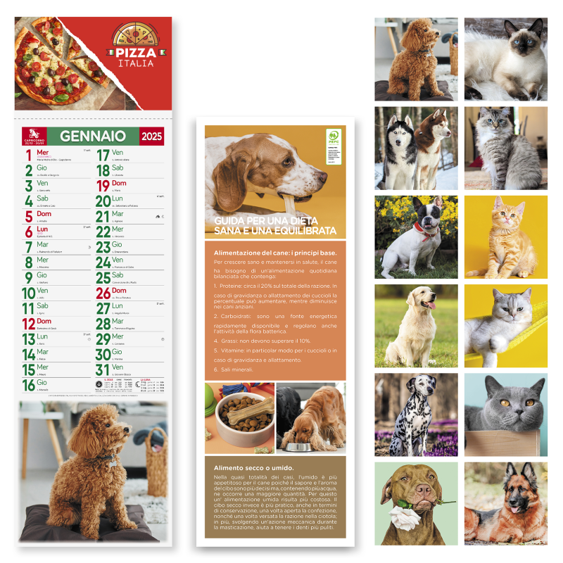 Calendario da muro “Silhouette illustrato" 14x47 cm